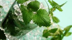 Ice mint drinks mojito