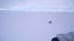 Ice Mountains Landscapes snow