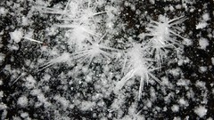 Ice nature shattered crystals