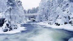 Ice nature snow cold