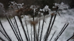 Ice nature winter snow