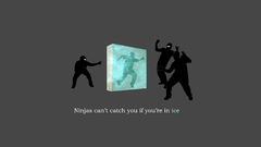 Ice ninjas ninjas cant