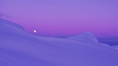 Ice Violet monochrome snow landscapes