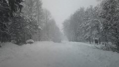 Ice winter snow Trees