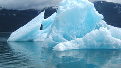 Iceberg blue Shade nature