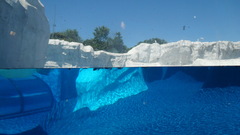 Icebergs split-view