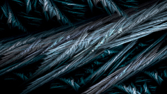 Iceform been seeing People