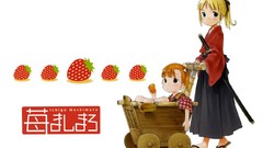 Ichigo mashimaro Anime