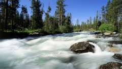 Idaho rivers forests