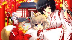 Ikegami akane miko shrine original characters kitsunemimi