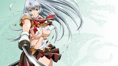 Ikki Tousen Chouun Shiryuu