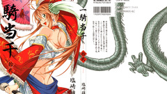 Ikki Tousen detached sleeves