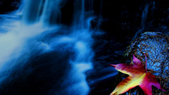 Im searching of girl