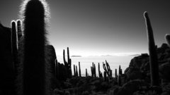 Im thinking might do