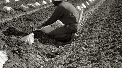 Imperial valley high