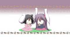 Imperishable Night inaba tewi