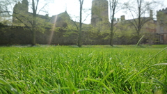 In Return More interesting