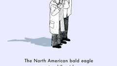 Incredible Eagles mating high