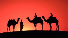 India Asia Camels catsuits