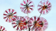 India windows 7 multicolor