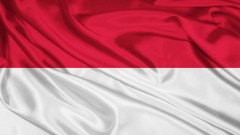 Indonesia Flags