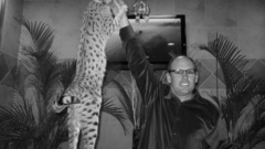 Indoors Animals Men Plants