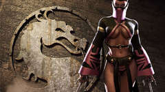 Indoors masks Mortal Kombat