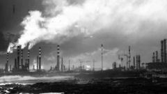 Industrial Plants flower