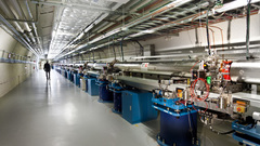 Industrial Plants flower