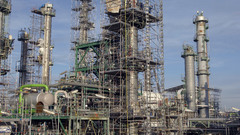 Industrial Plants flower