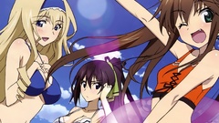 Infinite stratos Alcott Cecilia