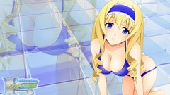 Infinite stratos Alcott Cecilia