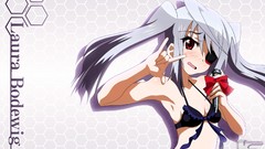 Infinite stratos Bodewig Laura