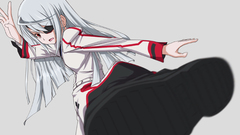 Infinite stratos Bodewig Laura