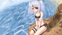 Infinite stratos Bodewig Laura