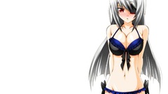 Infinite stratos Bodewig Laura