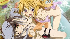 Infinite stratos Dunois Charlotte