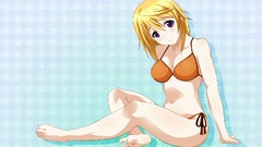 Infinite stratos Dunois Charlotte