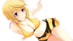 Infinite stratos Dunois Charlotte