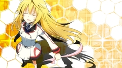 Infinite stratos Dunois Charlotte