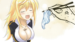 Infinite stratos Dunois Charlotte