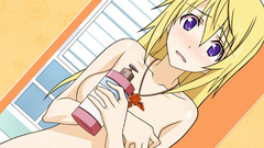 Infinite stratos Dunois Charlotte