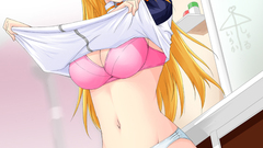 Infinite stratos Dunois Charlotte