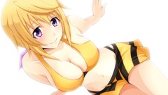 Infinite stratos Dunois Charlotte