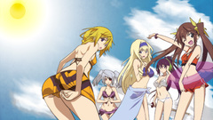 Infinite stratos Dunois Charlotte