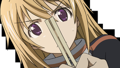 Infinite stratos dunois charlotte
