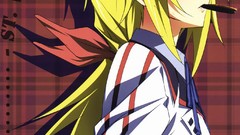 Infinite stratos Dunois Charlotte