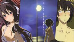 Infinite stratos shinonono houki