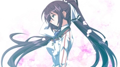 Infinite stratos shinonono houki