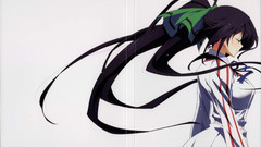 Infinite stratos shinonono houki